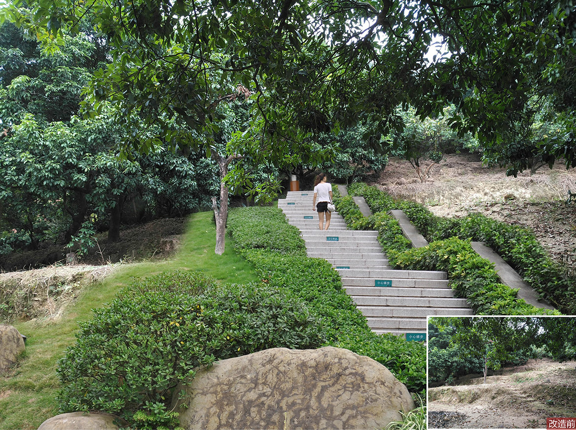 大嶺山鎮(zhèn)大環(huán)村美麗幸福村居建設行動計劃圖1