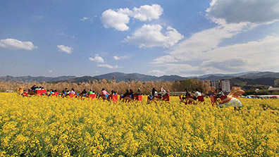 休閑農(nóng)業(yè)觀光園規(guī)劃設(shè)計(jì)要兼顧科學(xué)與合理性